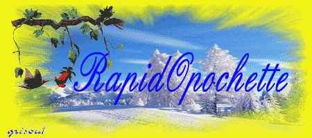 RapidopOchette Forum Index
