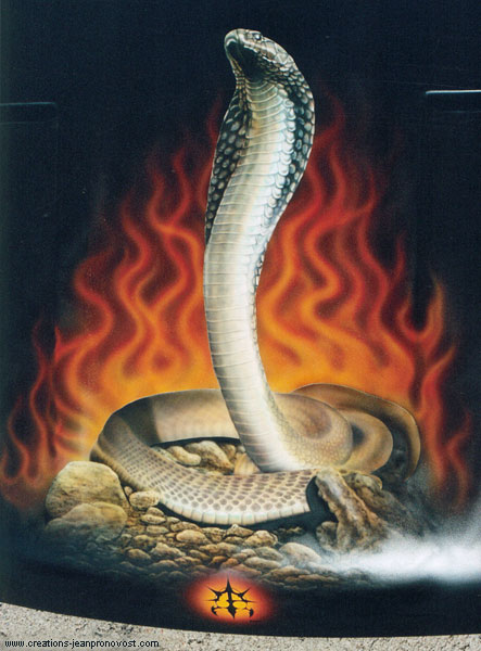 Flaming Cobra checks u out