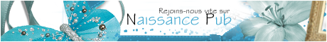 Naissance Pub recrute staff 100512074008403759-1c38b5c