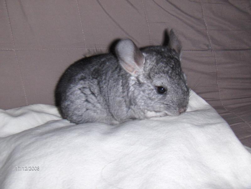 Image: bb-mabelle-du-080...71208-027-91c8f5.jpg