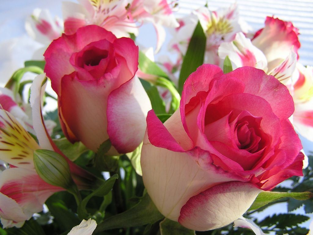 Image: beautiful_bouquet..._roses-1--88b0ea.jpg