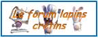 http://img43.xooimage.com/files/2/0/c/lien-97be46.jpg