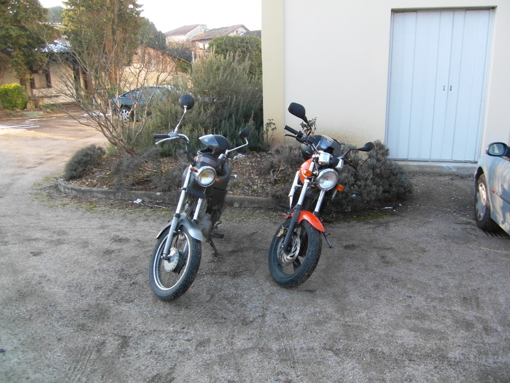 sdc10341-9ef9c5.jpg