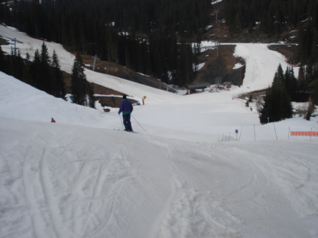 Chevreuil / Megève Jaillet Dsc03917-856534