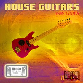 Vipzone - HOUSE GUITARS Wav Loops