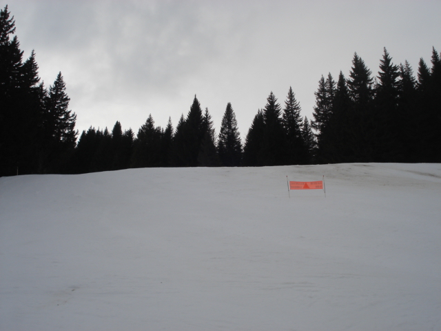 Chevreuil / Megève Jaillet Dsc03912-8564e5