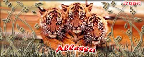 http://img43.xooimage.com/files/9/d/8/allessa-8847f2.png
