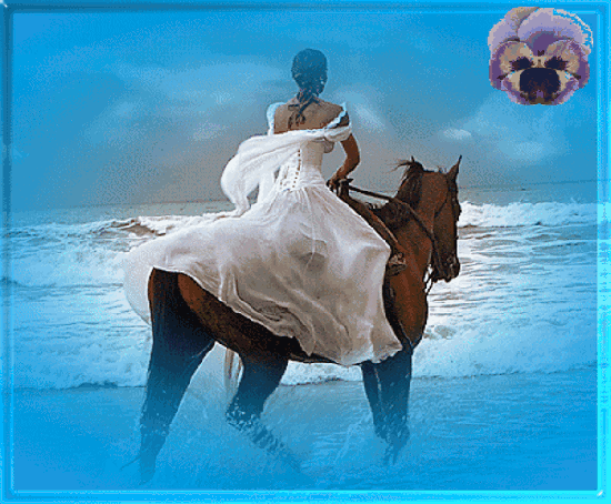 belle-image-chevaux-mer-1547e99.gif