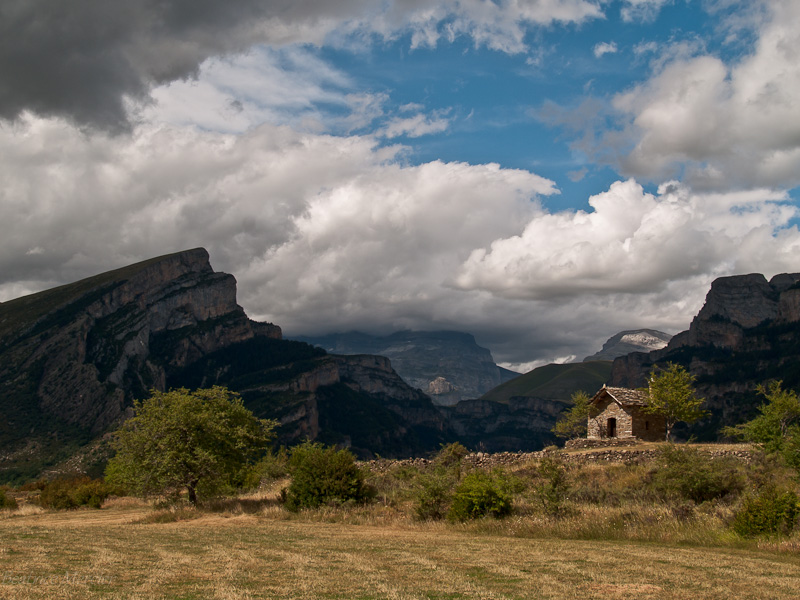Entre Buerba et Vio 20090802-_8027803-2195ae9