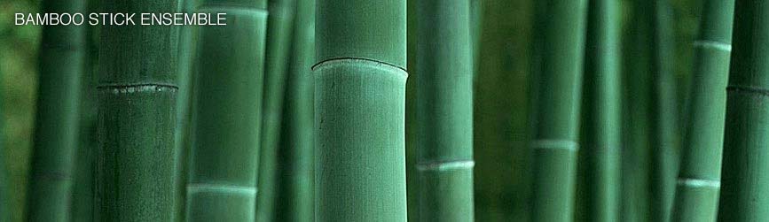 Tonehammer Bamboo Stick Ensemble KONTAKT-DYNAMiCS Tonehammer Bamboo Stick Ensemble KONTAKT-DYNAMiCS