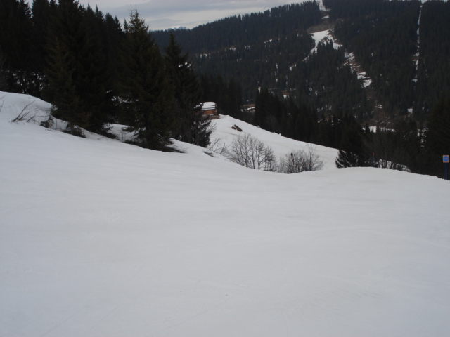 Chevreuil / Megève Jaillet Dsc03908-85643c