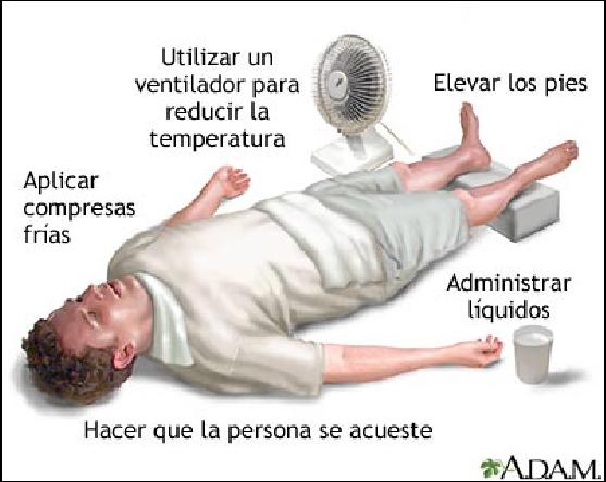 toda la info