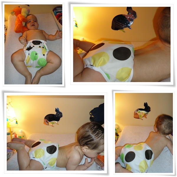couche popolini one size, besoin de vos lumieres... Culotte-blueberry-1bc6af7