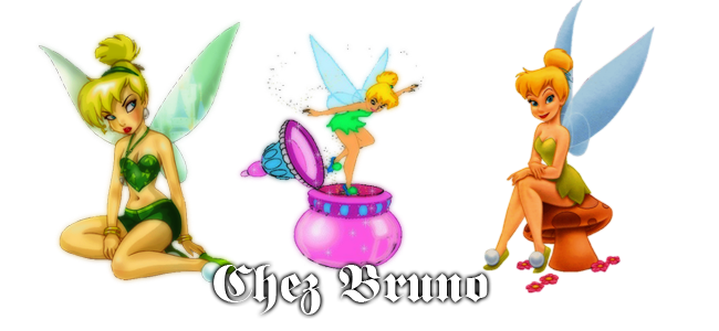 Chez-bruno Forum Index