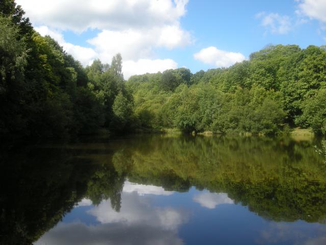 Pêche en haute vienne, la bénéchie ( cussac, chalut) Photo-349-121f205