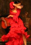 http://img43.xooimage.com/files/c/7/9/flamenco-18f0a9c.jpg
