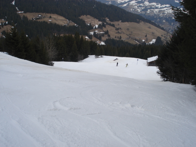Chevreuil / Megève Jaillet Dsc03906-856422